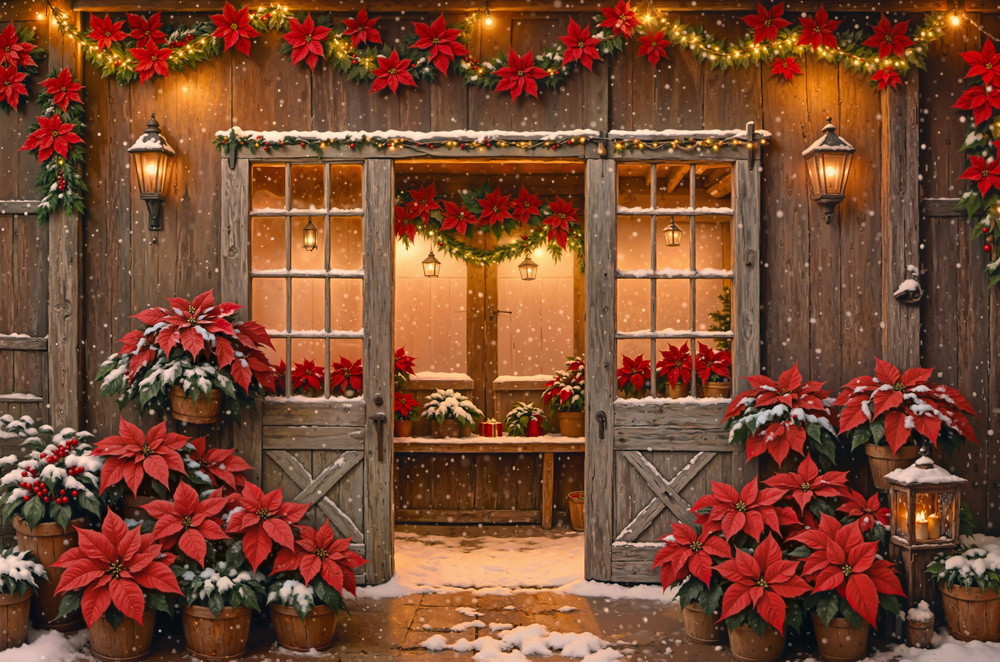 Backdrop "Poinsettia"