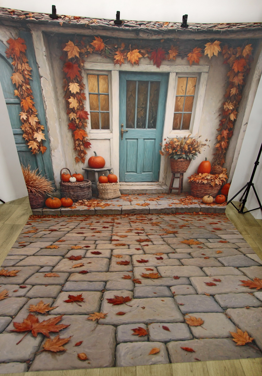 Нейрофотофон "Осенняя веранда" стена/пол