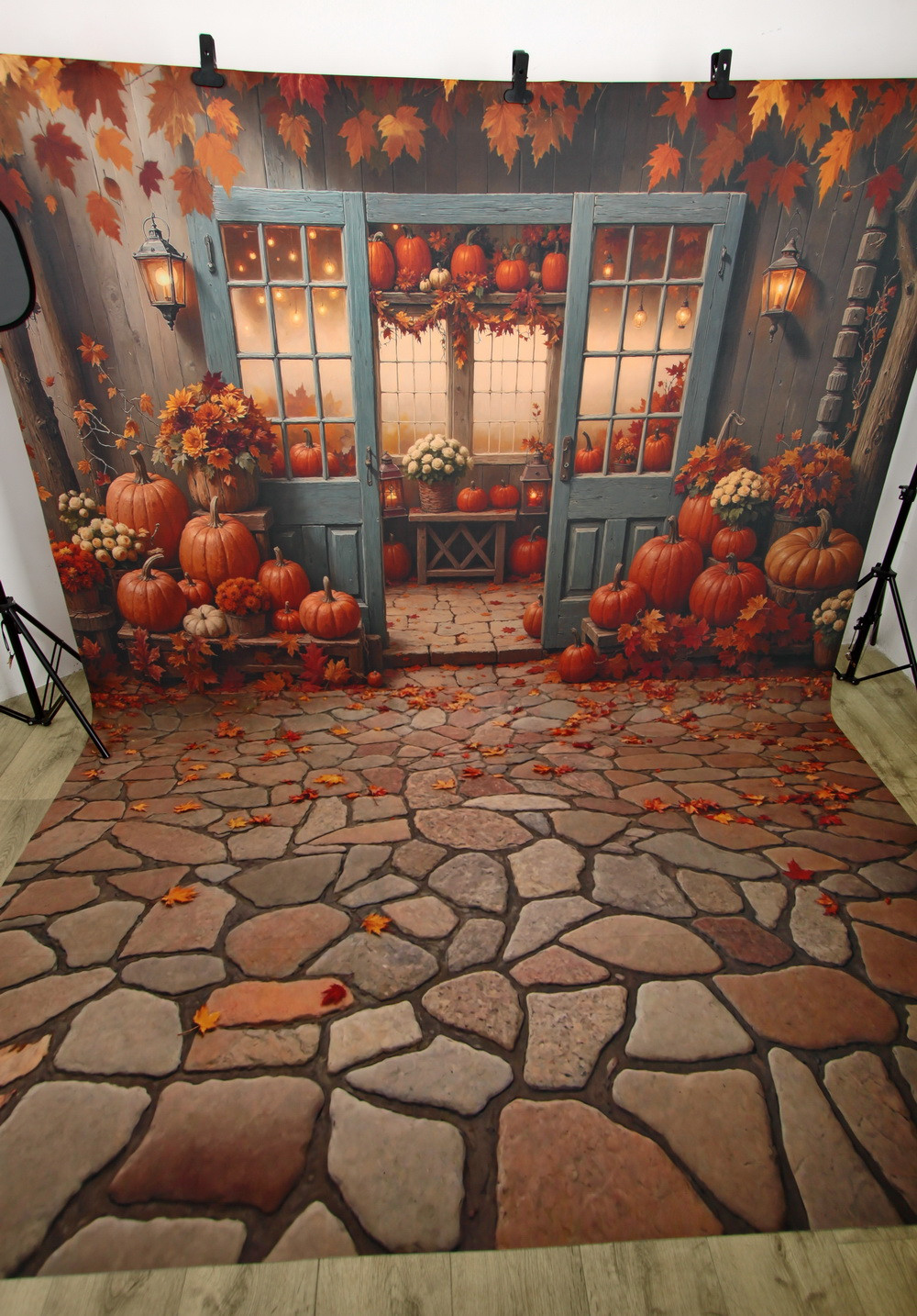 Нейрофотофон "Осенняя веранда 2.0" стена/пол