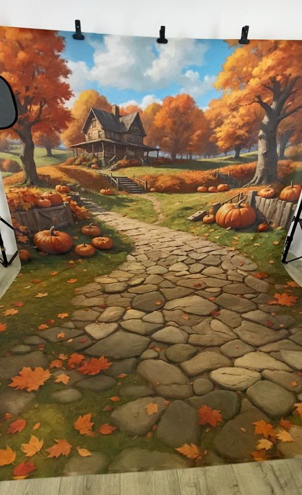 Нейрофотофон "Дом на холме с тыквами" стена/пол