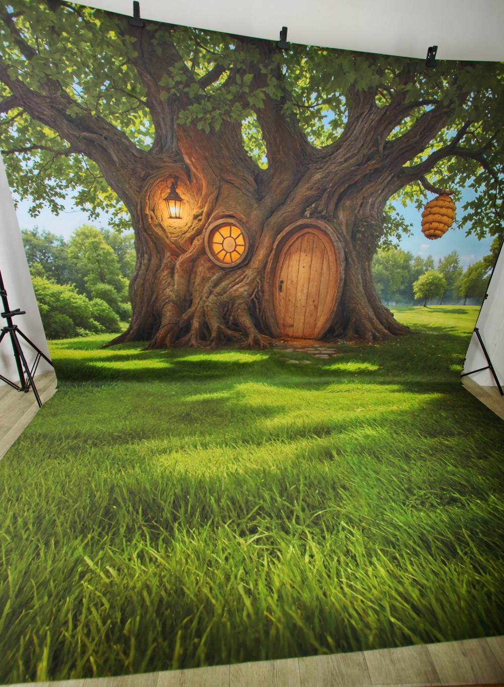 Нейрофотофон "Если б мишки были пчёлами...." стена/пол